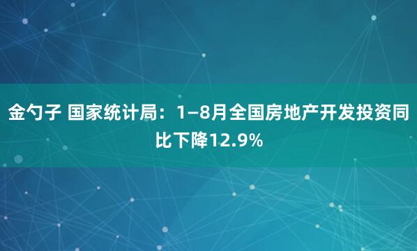 金勺子 国家统计局：1—8月全国房地产开发投资同比下降12.9%